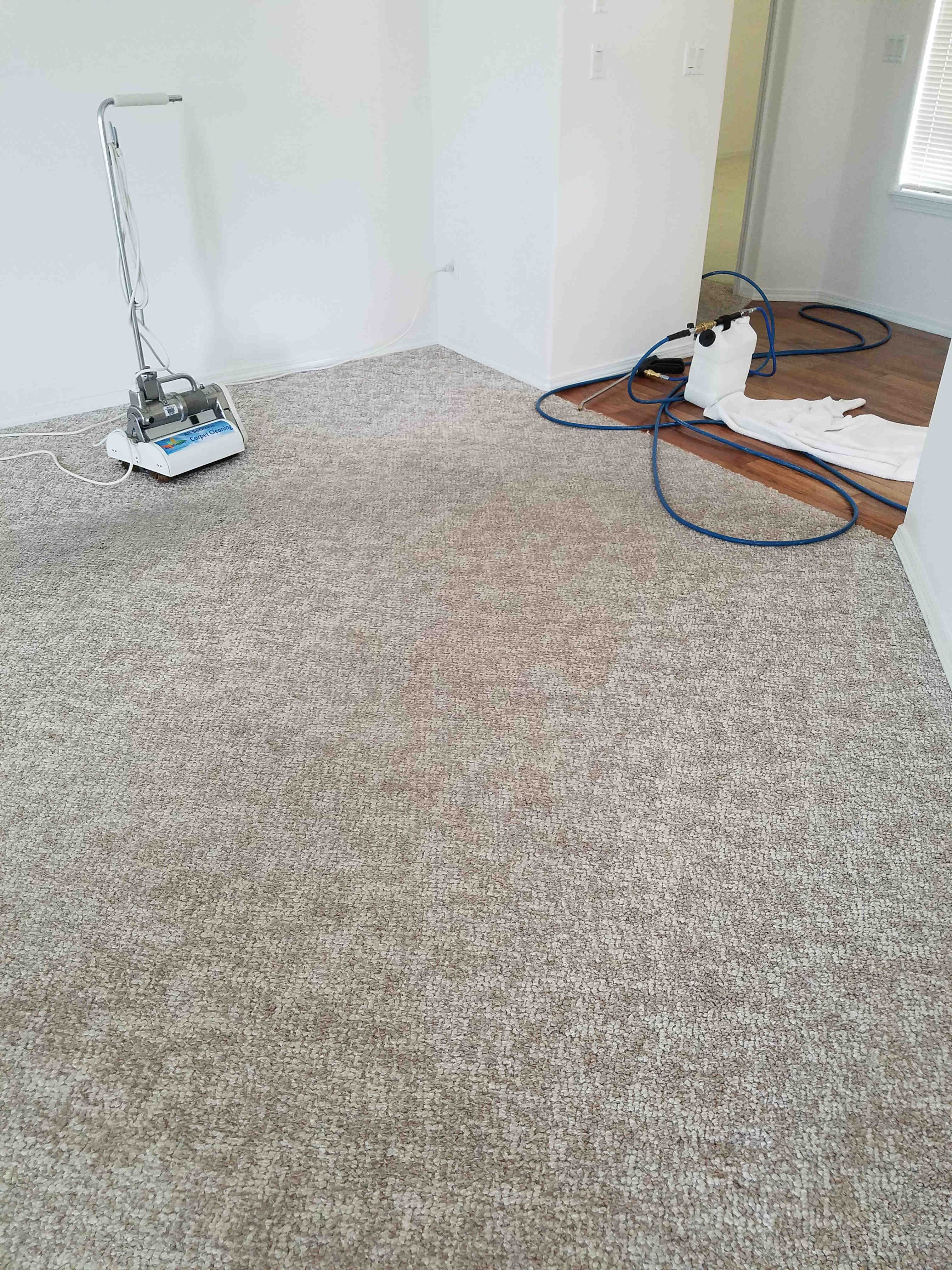 carpet-before